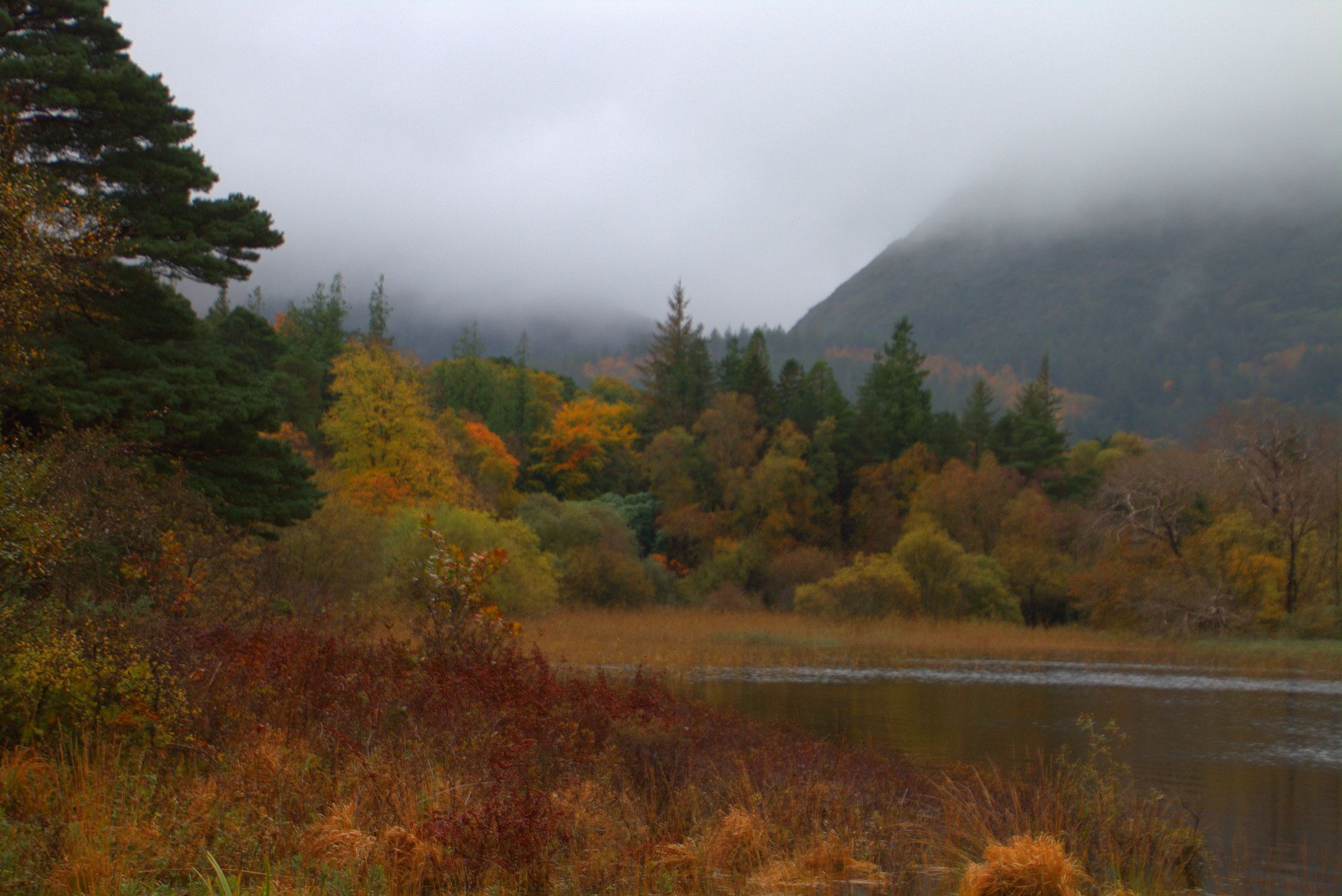 Autumn Colors Lakeside