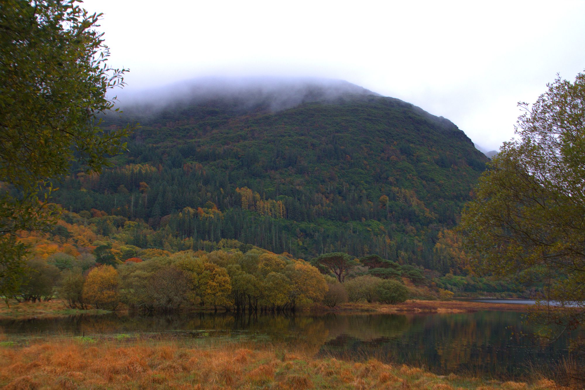 Autumn Colors Lakeside